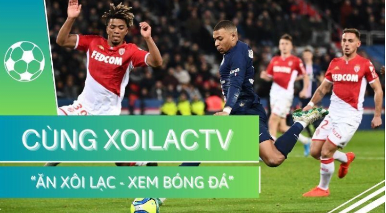 Xoilac TV: Sứ mệnh mang lại trải nghiệm tuyệt vời nhất Xoilac TV: Sứ mệnh mang lại trải nghiệm tuyệt vời nhất