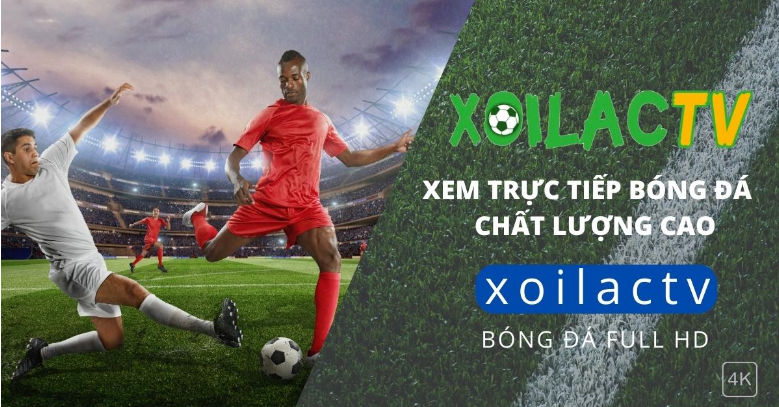 Ưu điểm của kênh xem bóng đá euro 2024 Xoilac TV Ưu điểm của kênh xem bóng đá euro 2024 Xoilac TV